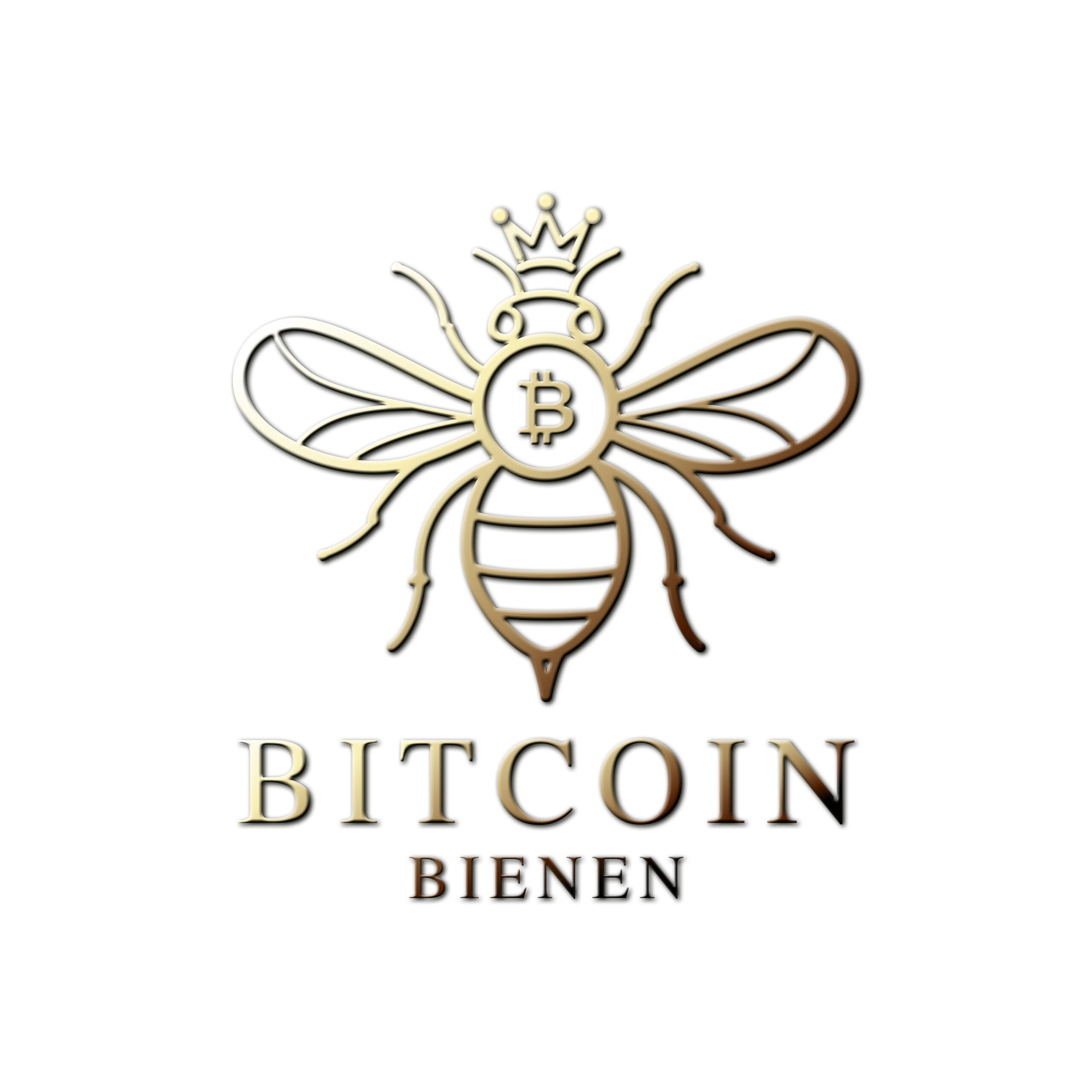 Unsere Partnernetzwerke | Rapid Rohr- und Kanaltechnik Logo showing a stylized gold bee with a Bitcoin symbol at its center and the words BITCOIN BIENEN underneath.